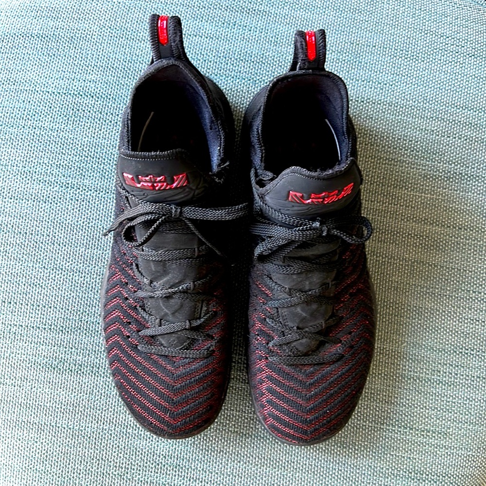 Mens Nike Lebron Fresh Bred 16